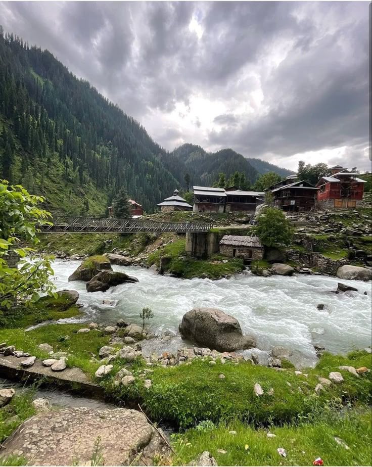 Amala🇵🇰 tweet media