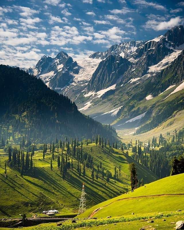 Amala🇵🇰 tweet media