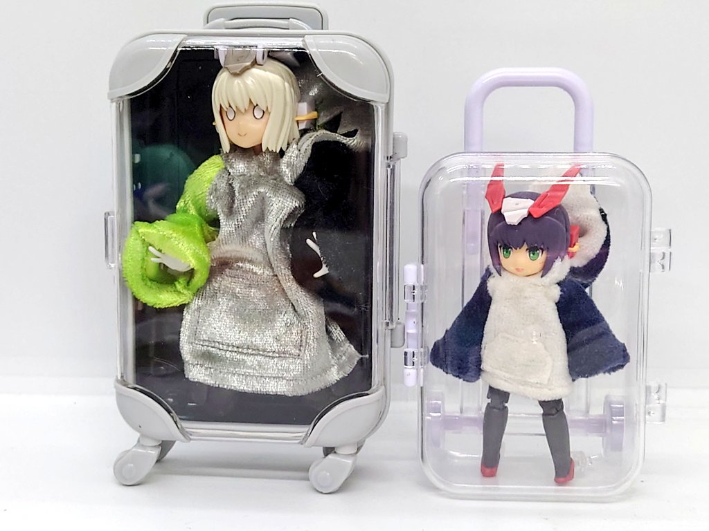 でうす@さめパ団団長🦈 tweet media