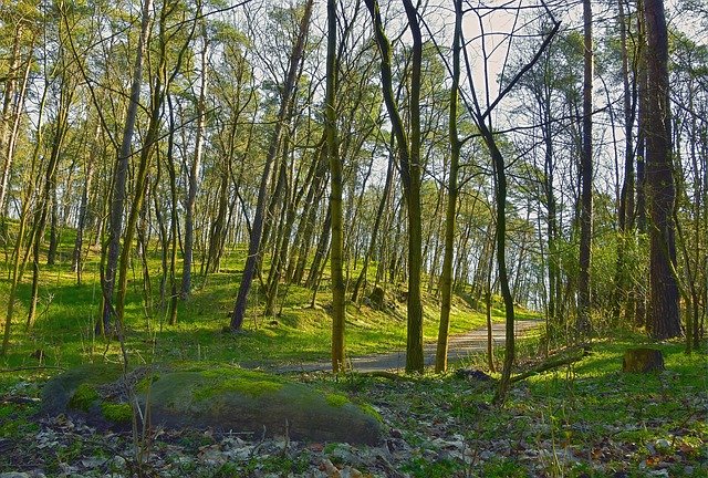 Britney Pope tweet media