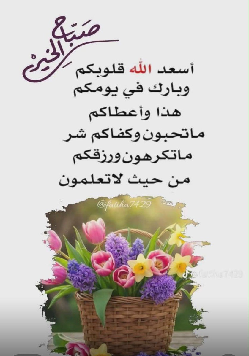 ابو بدر الفيلكاوي tweet media