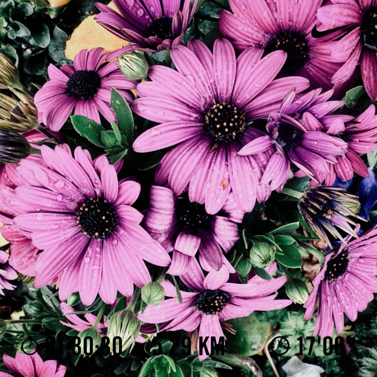 KIMWooJe's tweet image. #nike #nikeplus #justdoit #nikerunclub