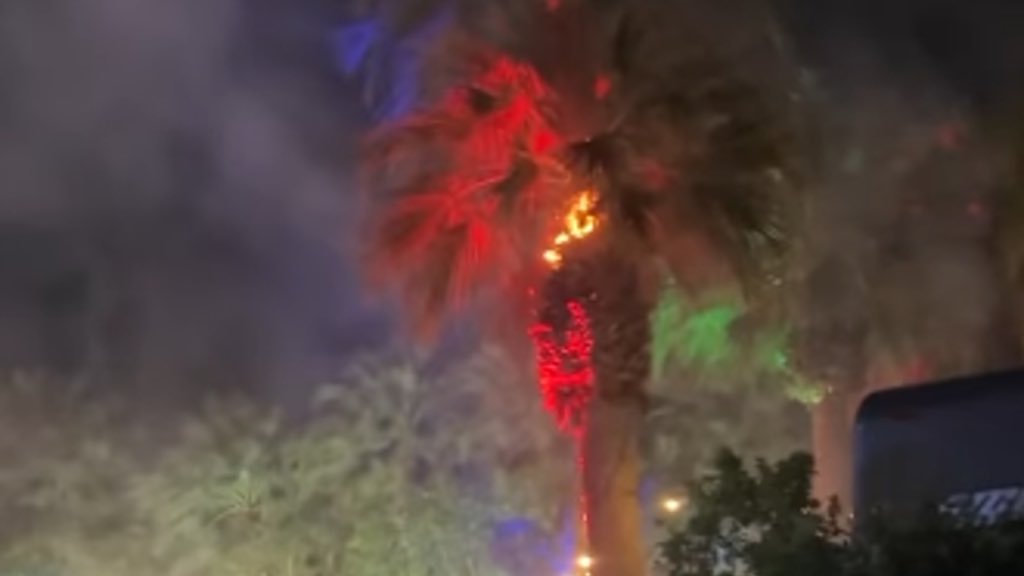 Buzzing Pop tweet media