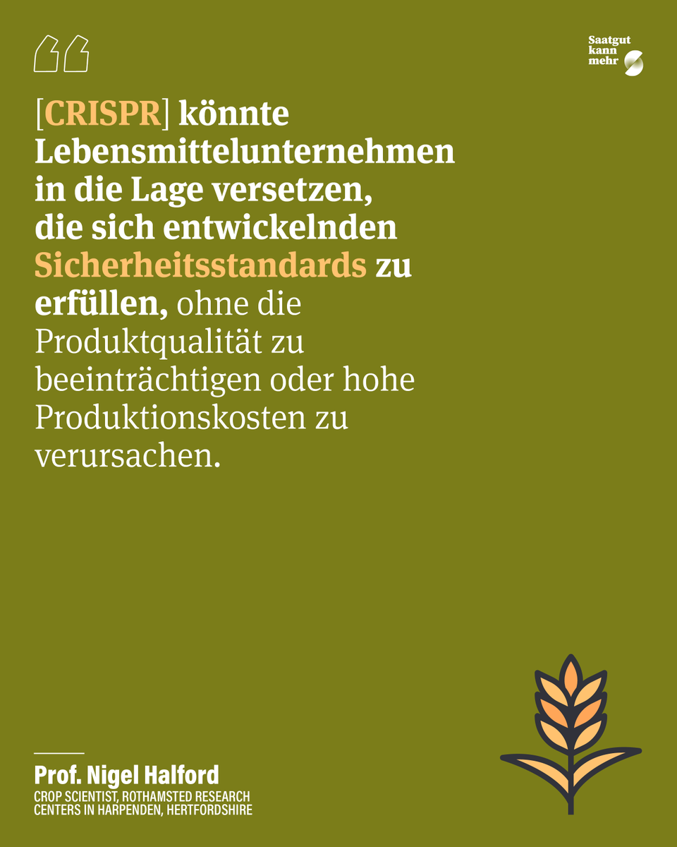 SaatgutKannMehr's tweet image. 🍞💡 Schon gewusst? Geröstetes Brot kann krebserregend sein. Mithilfe von #GeneEditing ist es Forschenden nun gelungen, die Konzentration der dafür entscheidenden Aminosäure im Weizen um bis zu 93 % zu senken – und das ohne Ertragseinbußen.

🔗 Mehr hier: theguardian.com/science/2026/a…