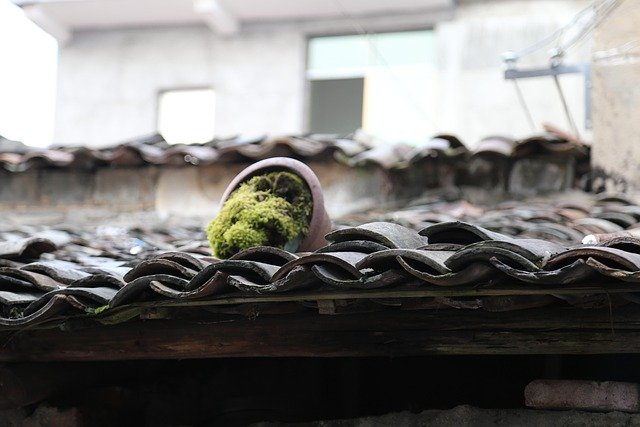 Darius Asherah tweet media