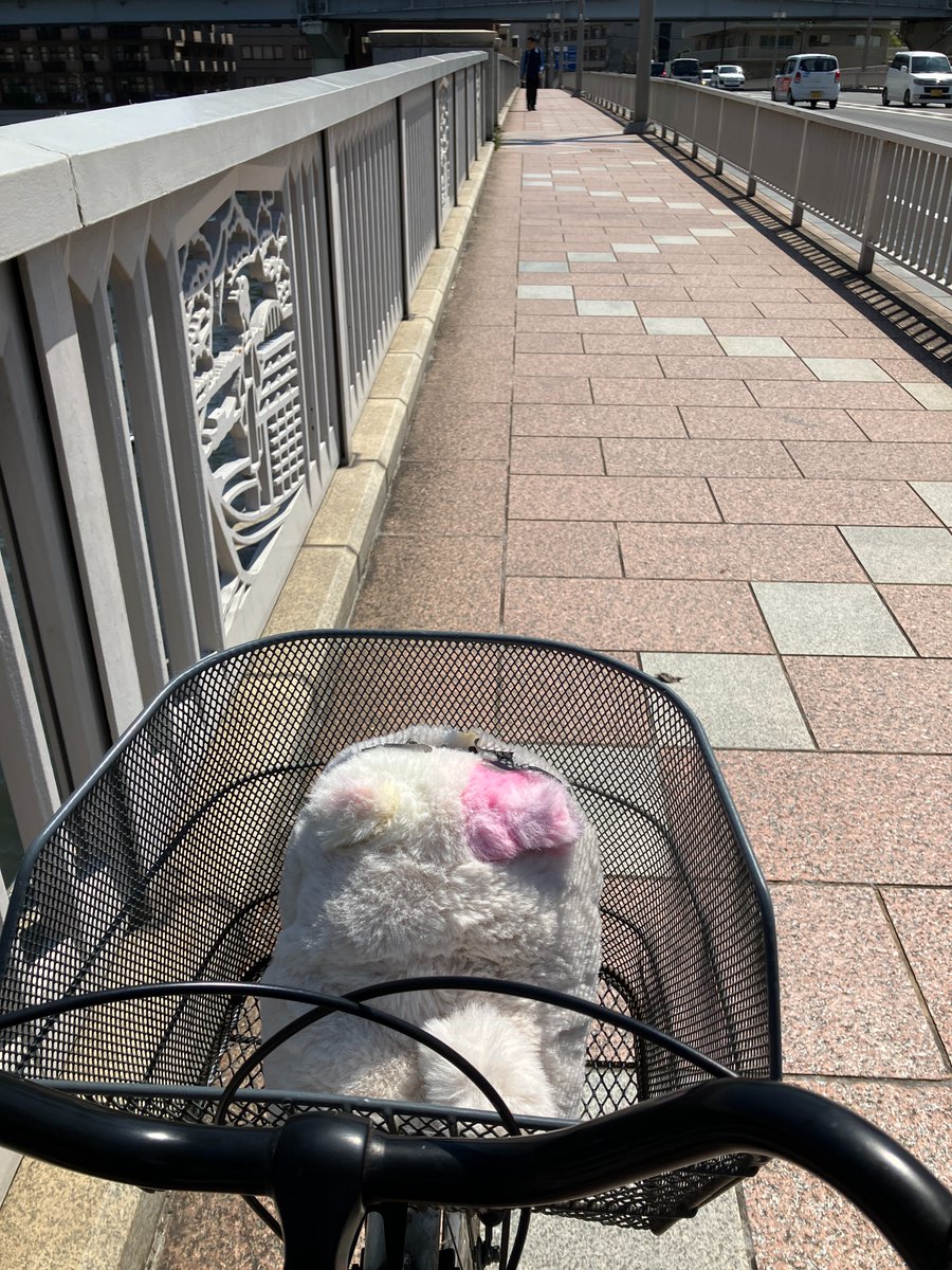 nyankimi_nya's tweet photo. つぎのしょうだんへ　いそげっ👓
#おじにゃん https://t.co/xP27dN57Ck