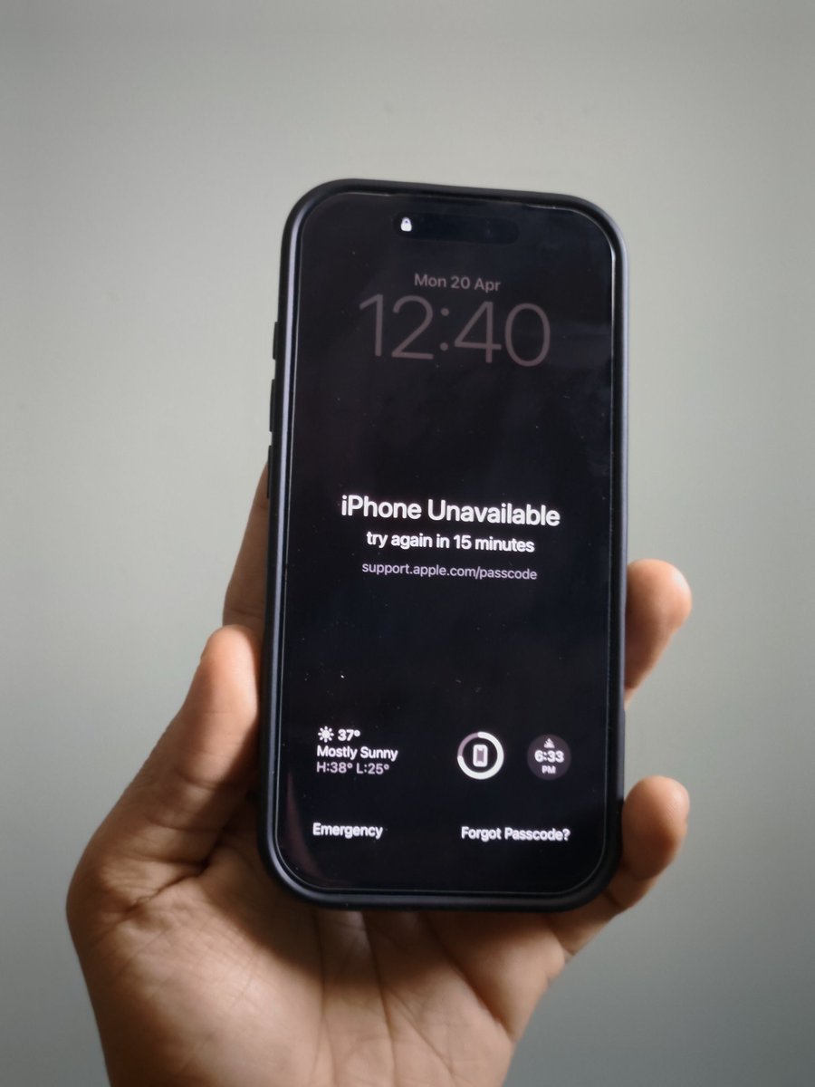 Noah Cat tweet media