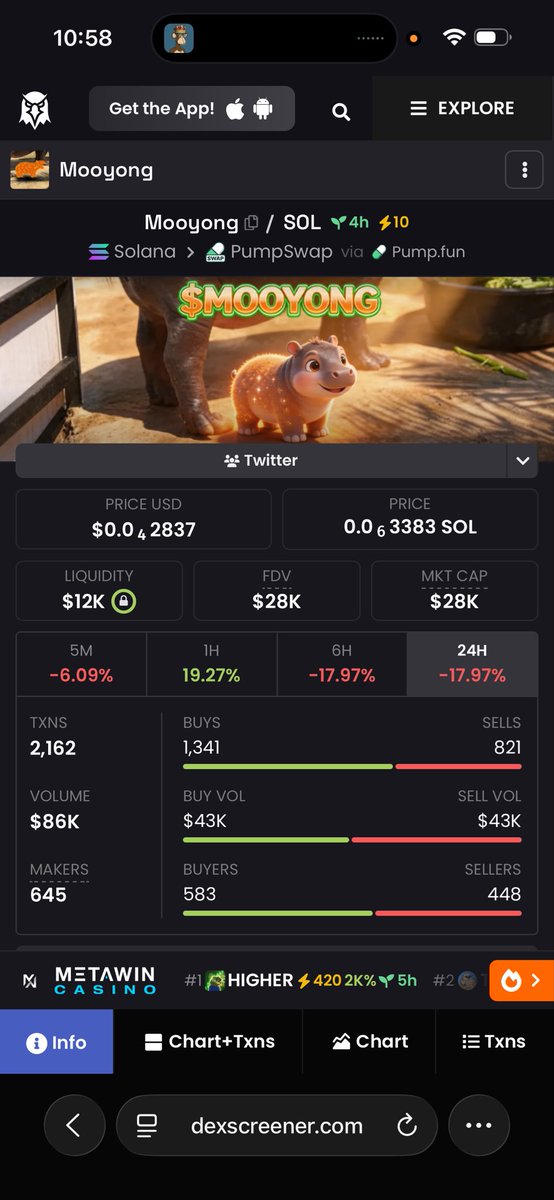 AllthewayINU tweet media