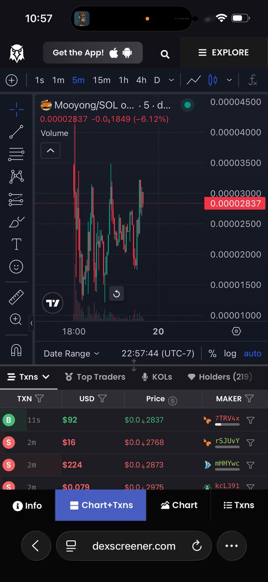 AllthewayINU tweet media