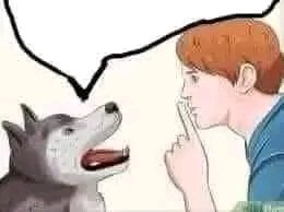 Bagas tweet media