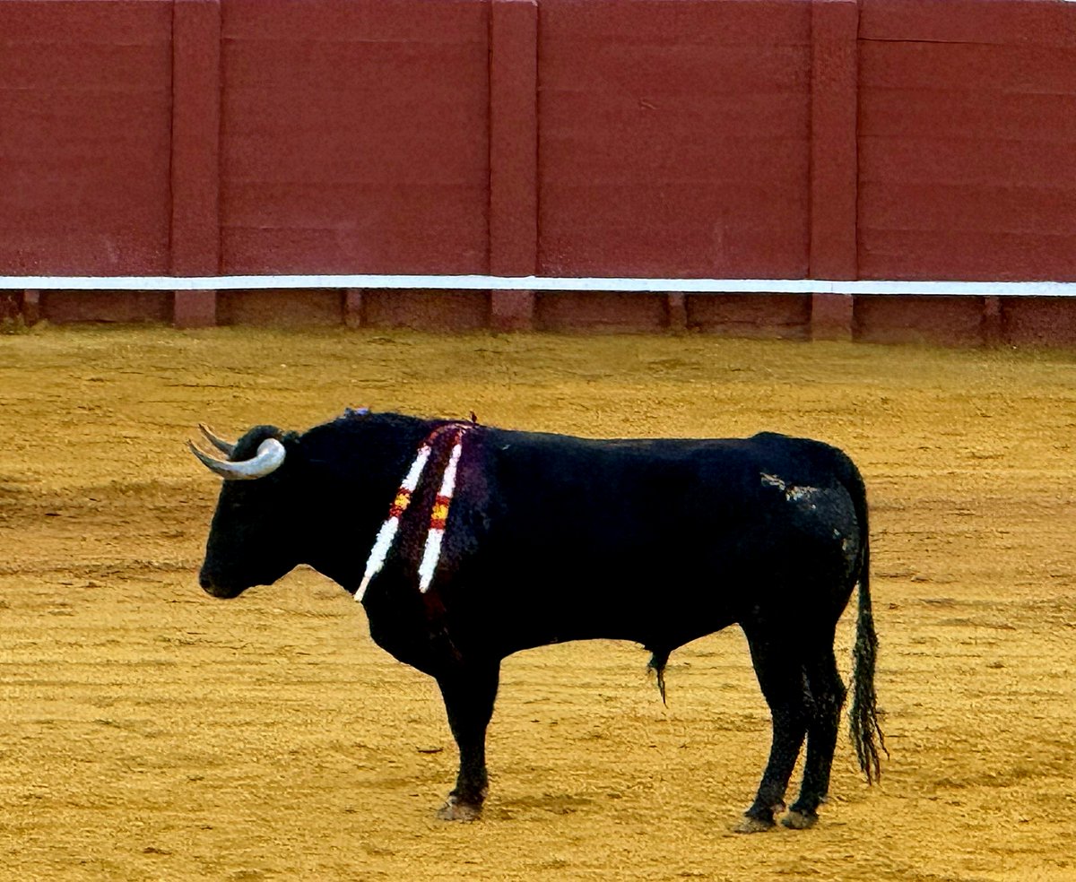 El Pasmo tweet media