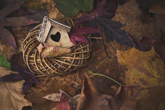 Taylor Warren tweet media