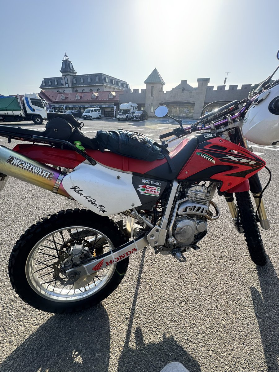 _Ito@🐶(←together 4ever) tweet media