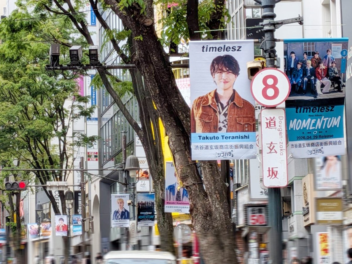 timelesz (タイムレス)｜Over The Top【公式】 tweet media