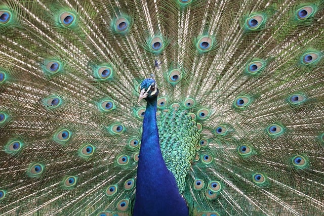 Jessica Hoffman tweet media