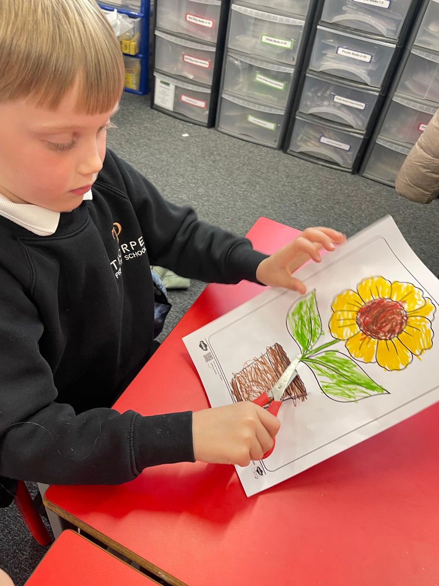 Thorpe Primary School (BD10) tweet media