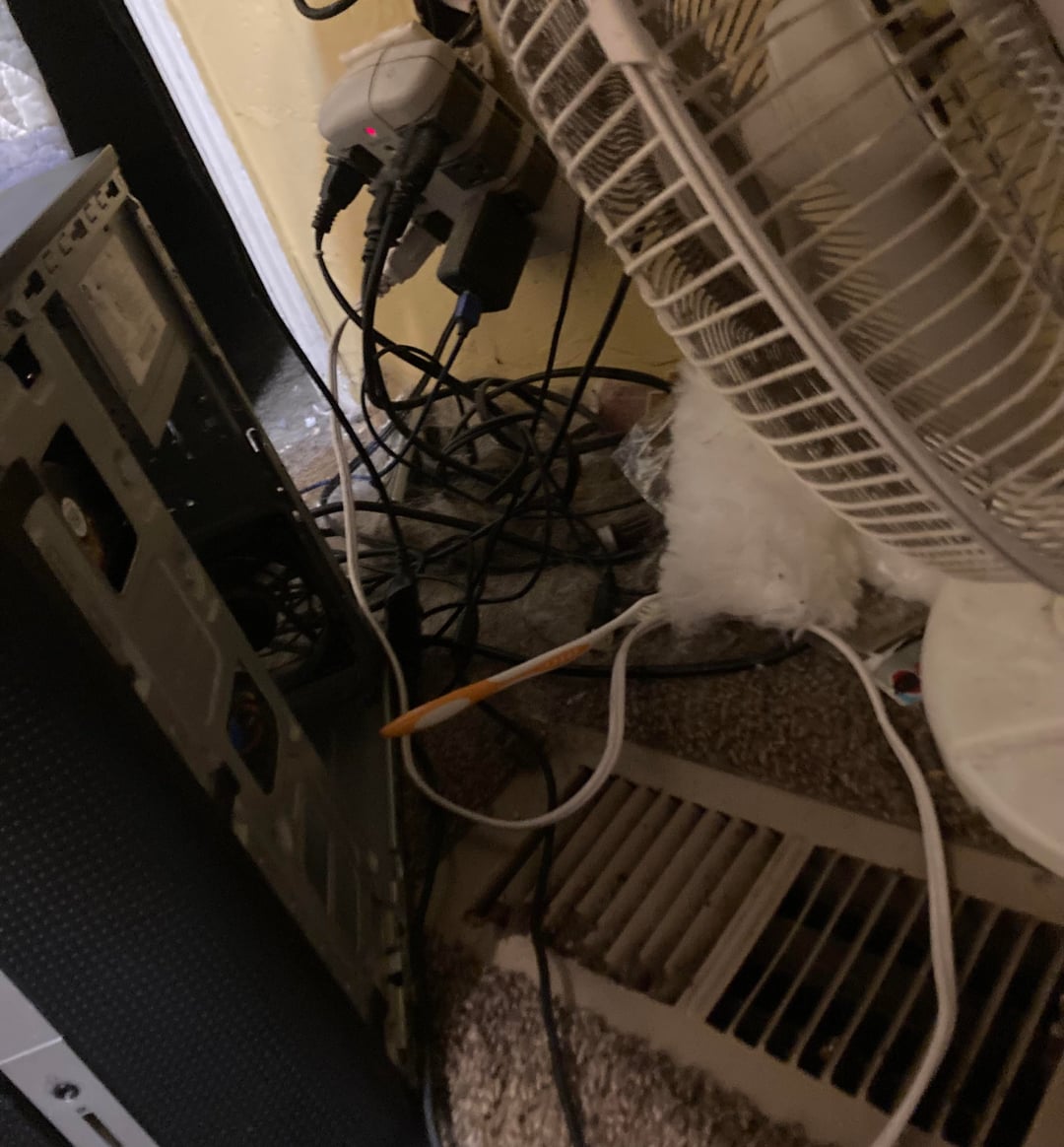 fps_hub's tweet image. The workhorse.
 
fpshub.com/1029065/the-wo…
 
#GamePc #GamingPc #PC