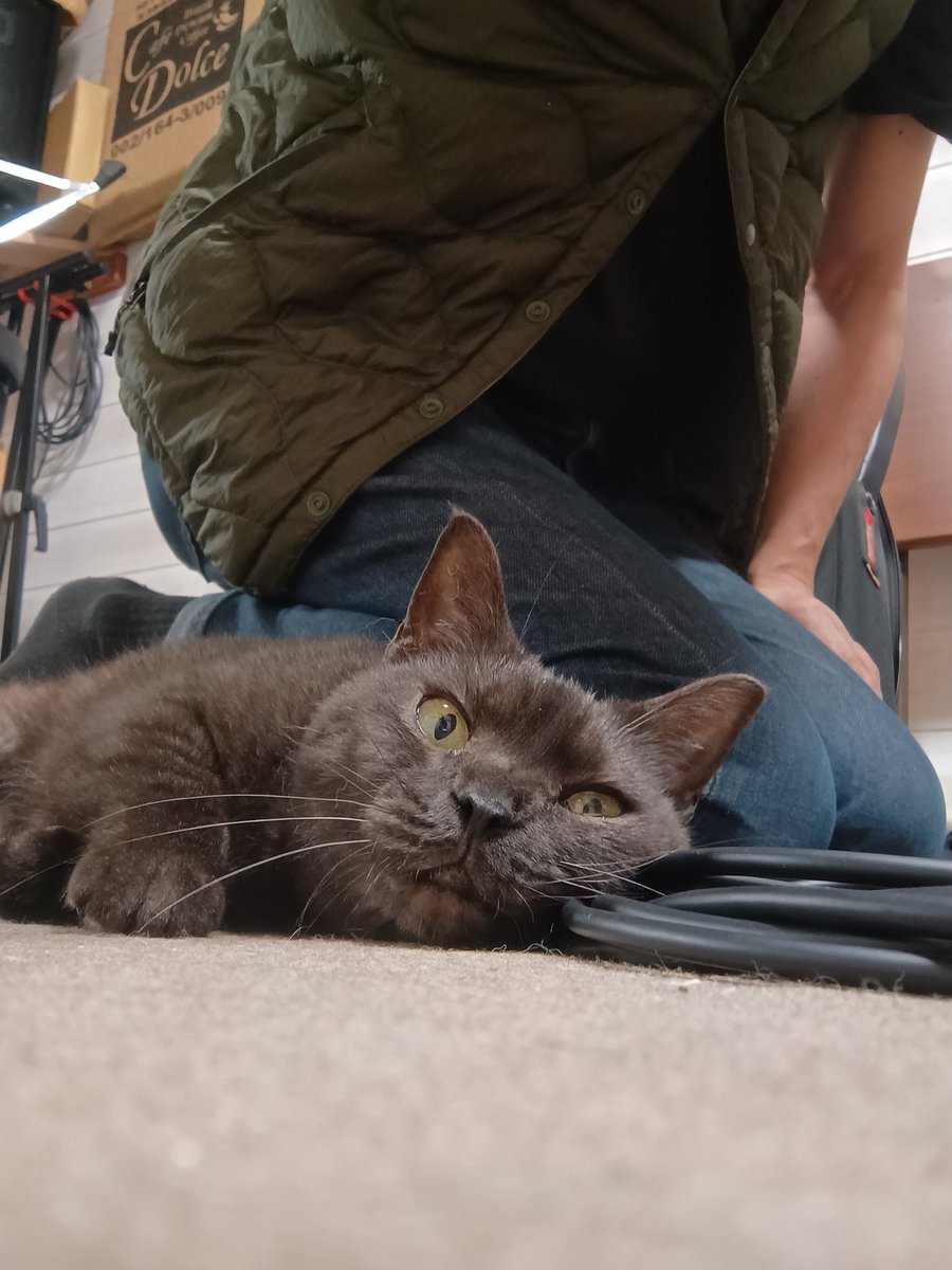 お前ら、LIVEがない今月も水曜日はパート練習しとるんか。お前らはサボっとったらすぐ下手くそになるんやからな。ボヤボヤしてたら５月23日（クラブウォーター）はすぐやって来るんやからな！しっかりパート練習して備えるように！
とでもゆっているような　のんの監督のええ顔
(げん）