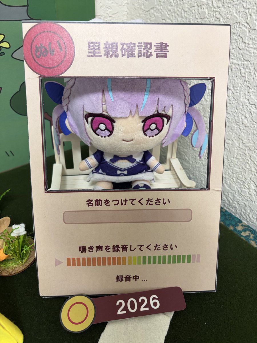 ぼんじん⚓️🎀🐾 tweet media