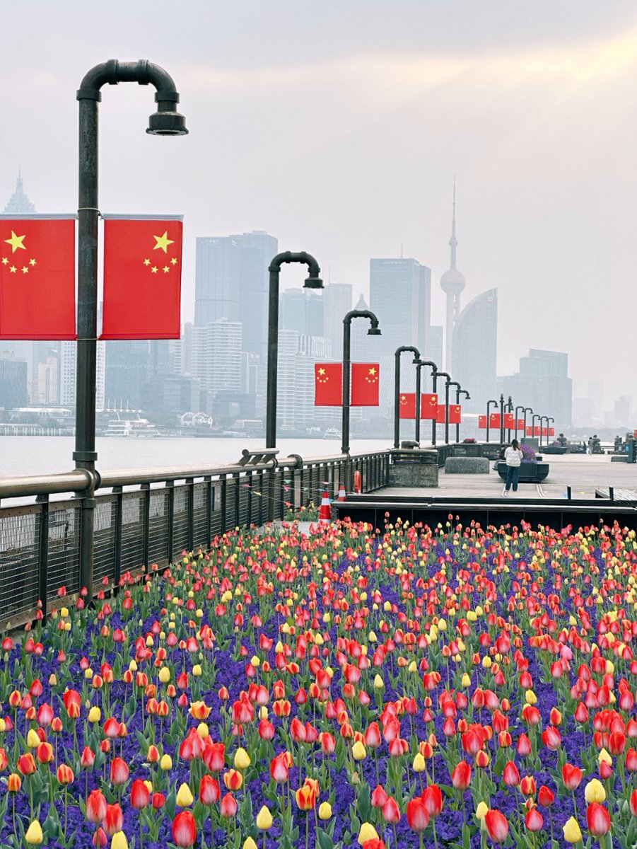 nicejupiterxx's tweet photo. 杨浦滨江西段近8000平方米区域内，八万余株郁金香已到盛放期，绚烂花海将滨江岸线的步道装点成缤纷的“花路”。
#WhyChina #Shanghai #ShanghaiLetsMeet #ShanghaiSpring https://t.co/VzNMEG7jWd