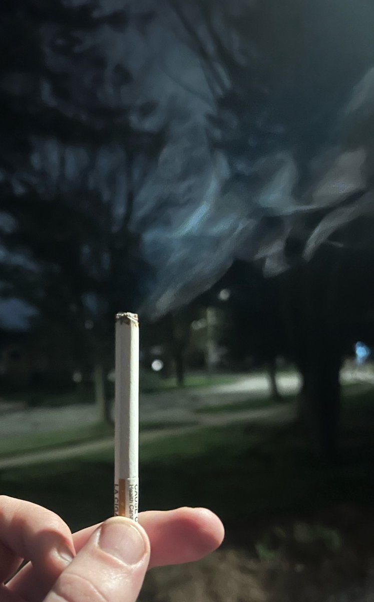 Perfect_GuyLife's tweet image. On the menu tonight, rothmans. Not only do they taste great, but they’re what my grandma used to smoke. #cigarette