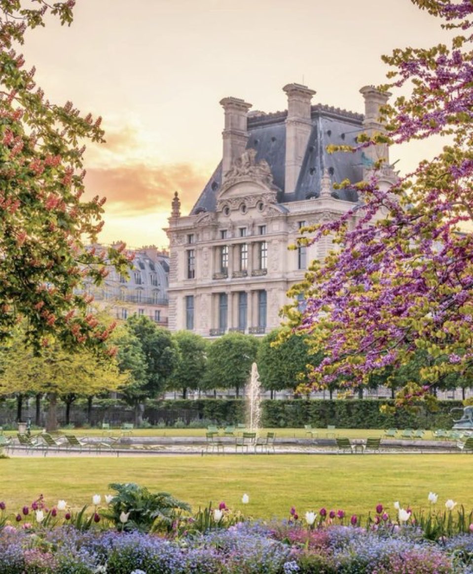 Expats Paris tweet media