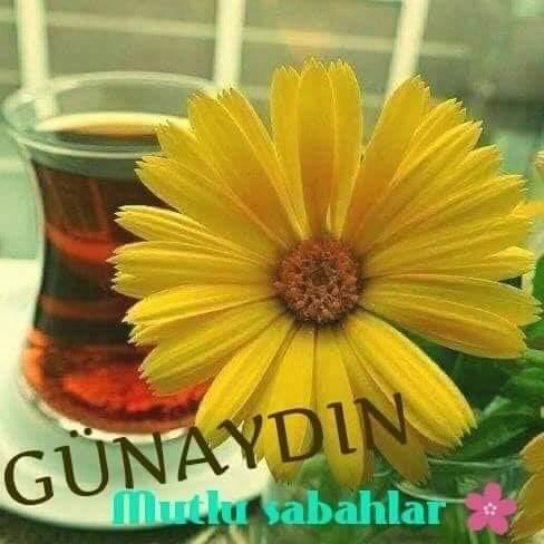 J2Uinn's tweet photo. @Tamfi11 https://t.co/aY3kTcxOSh