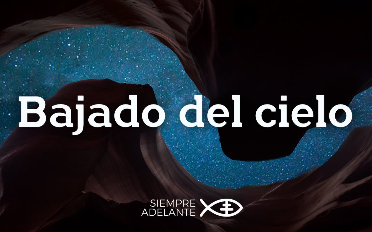 Archidiócesis de Sevilla tweet media
