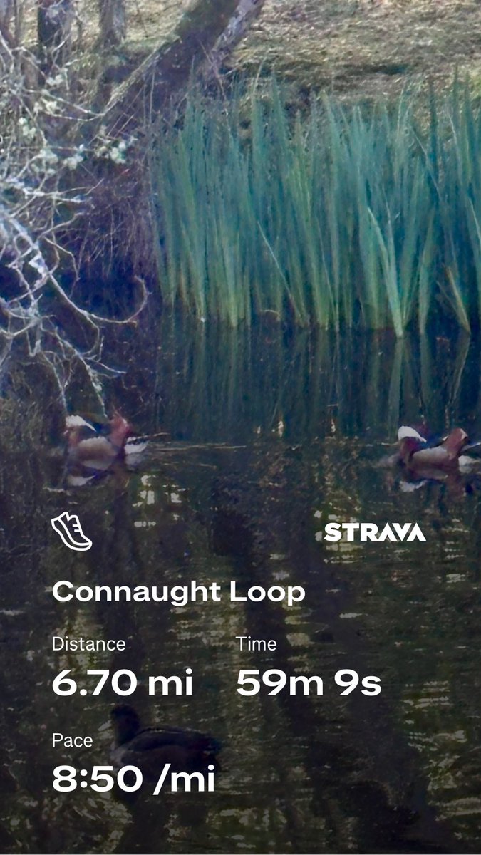 Ben Halen (He/His) tweet media