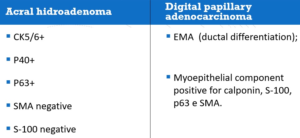 Int Soc Dermpath tweet media