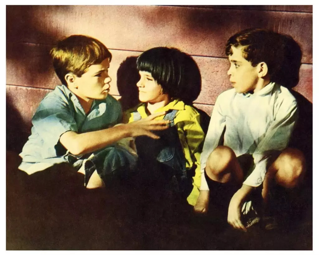 Leontina Ferreira tweet media