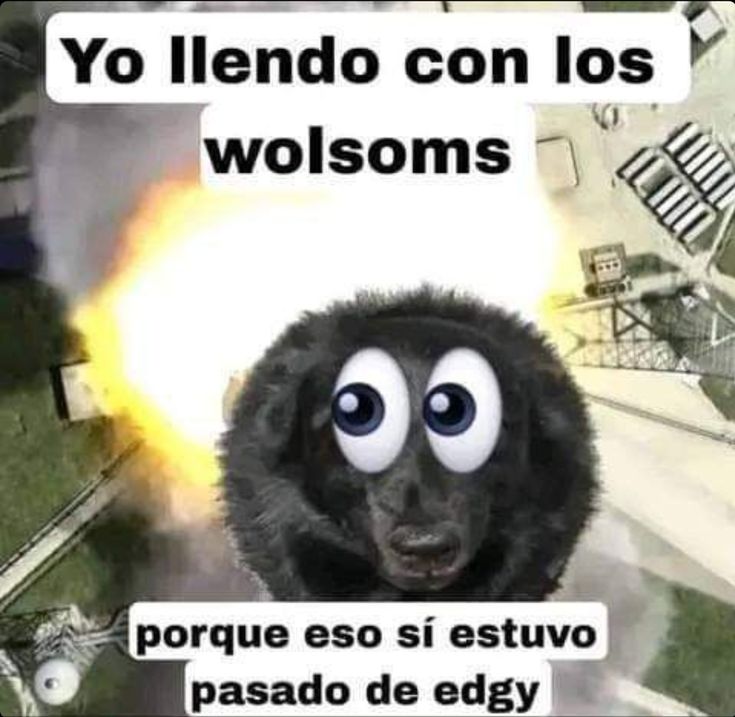 real nazi tweet media