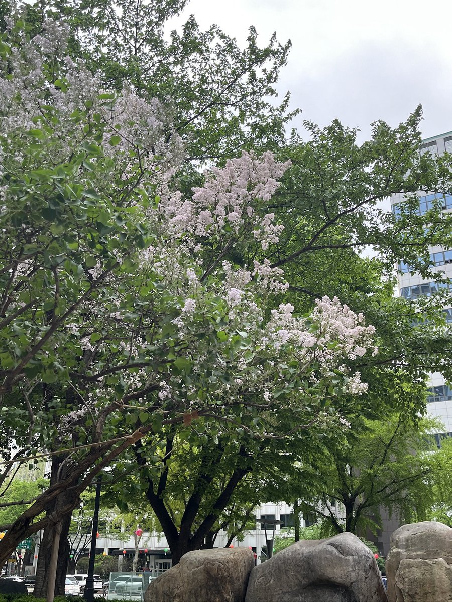 Blueman1971 tweet media