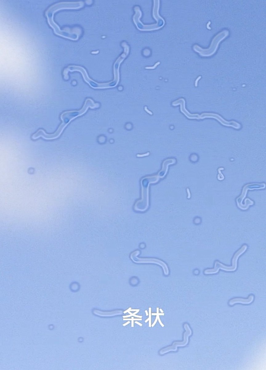 ʚ离心力ɞSAMA tweet media