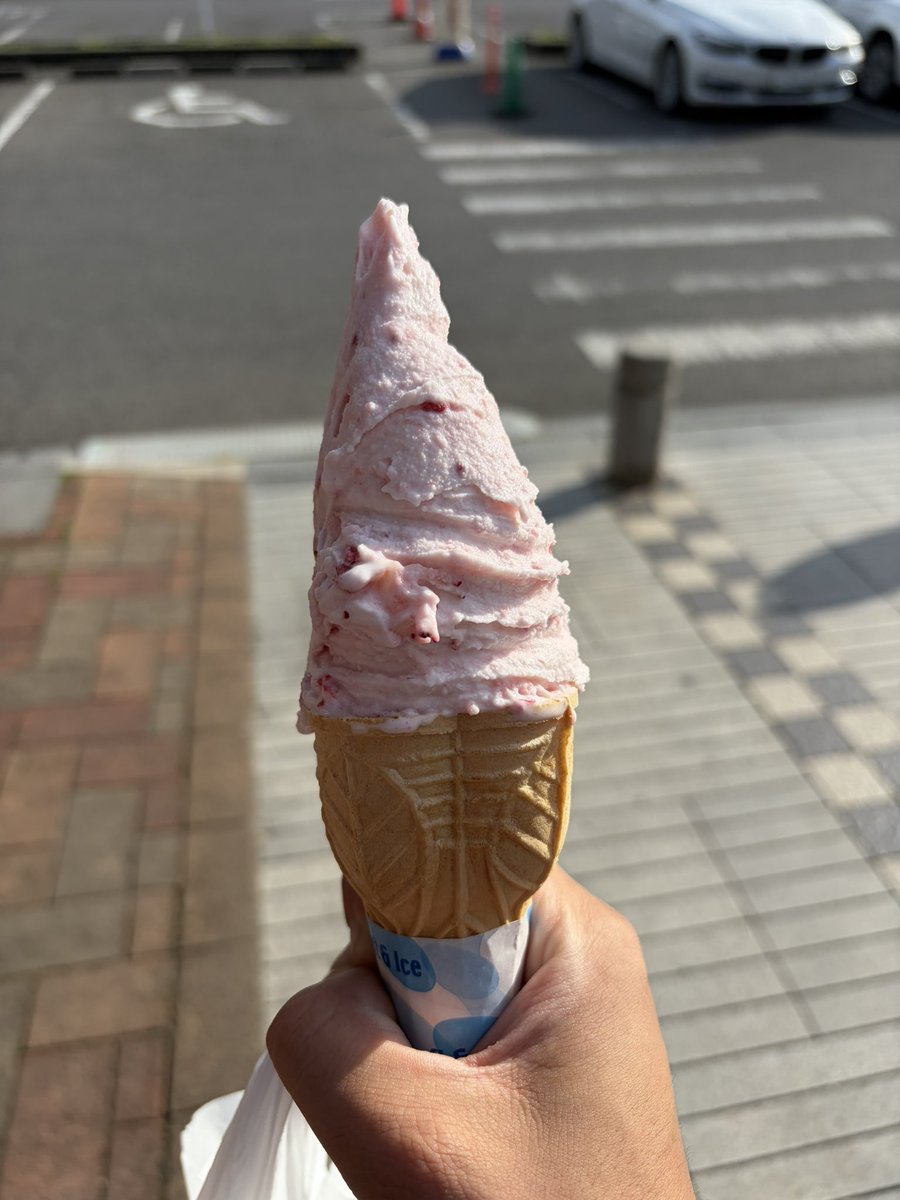 道の駅もてぎの手作りアイス
はじめて空いてる時間に来れたわ