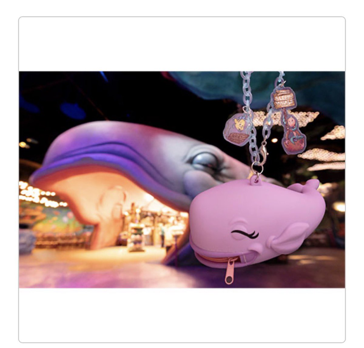 すなじゃん(JANSUNA)@#すな旅香港日帰り2025 tweet media