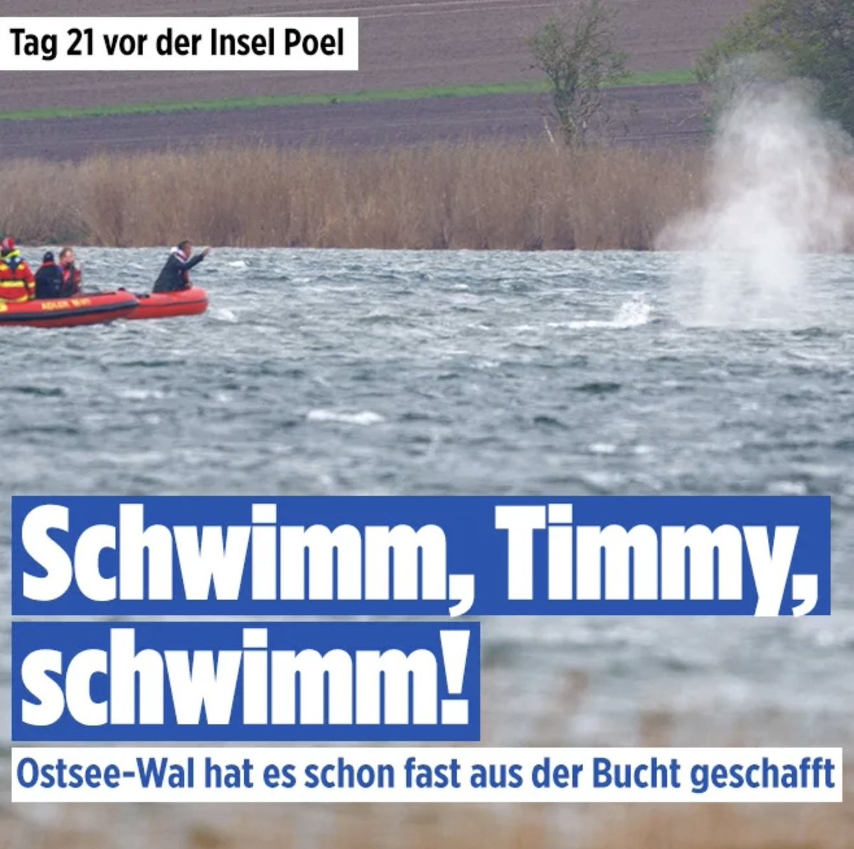 🇩🇪LilitThyra🩶 tweet media