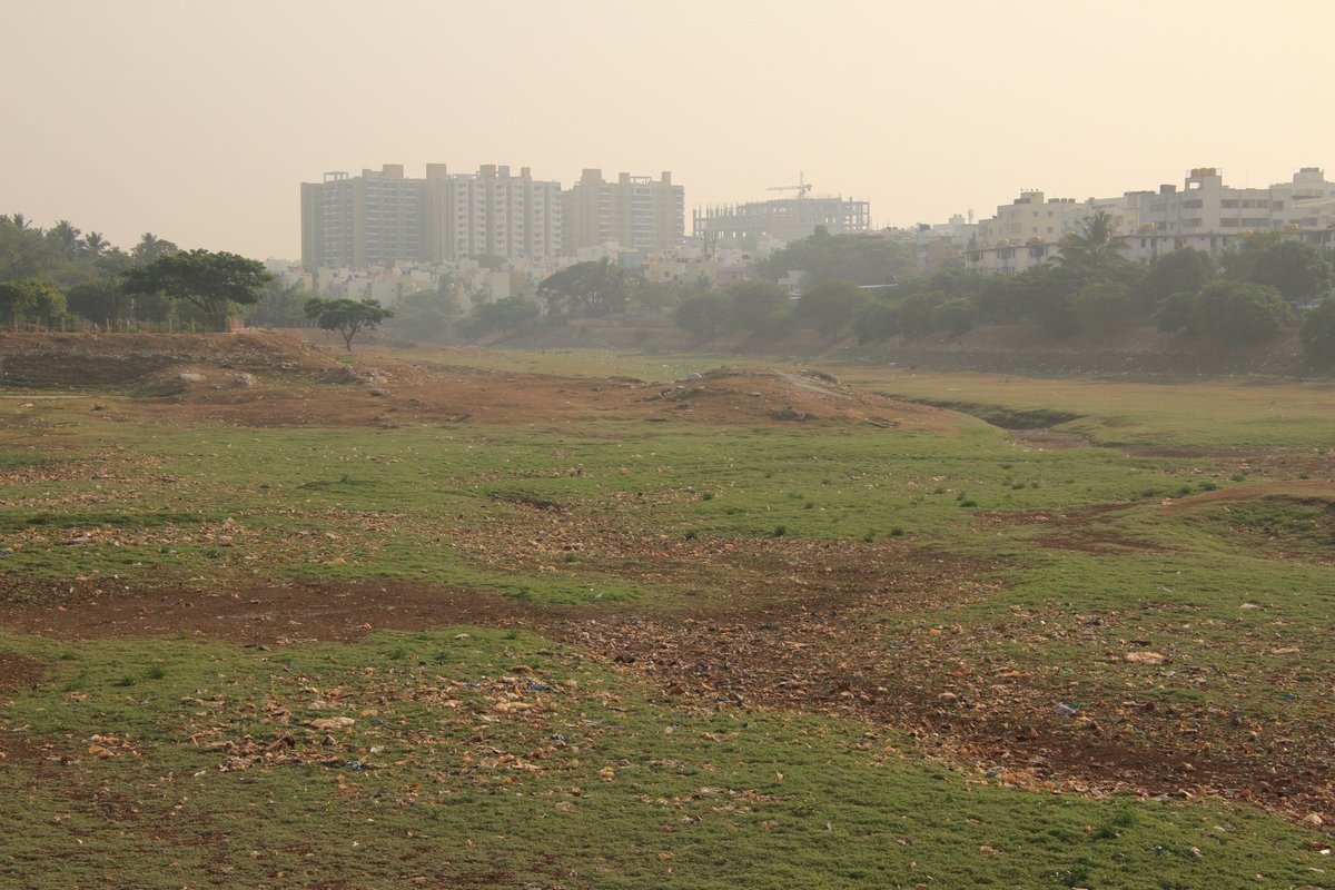 LakeEcosystem tweet media