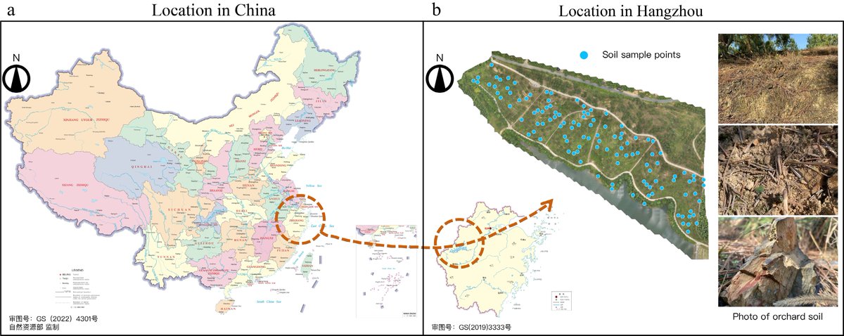 ForestryRes's tweet image. #SmartFor #neuralnetworks #pine
Accurate soil nutrient assessment in slash pine seed orchards is revolutionized by a new SST framework combining PLSR and neural networks for precision fertilization!
@MaximumAcademic @soil_farm @FertilizationOf
Details: maxapress.com/article/doi/10…