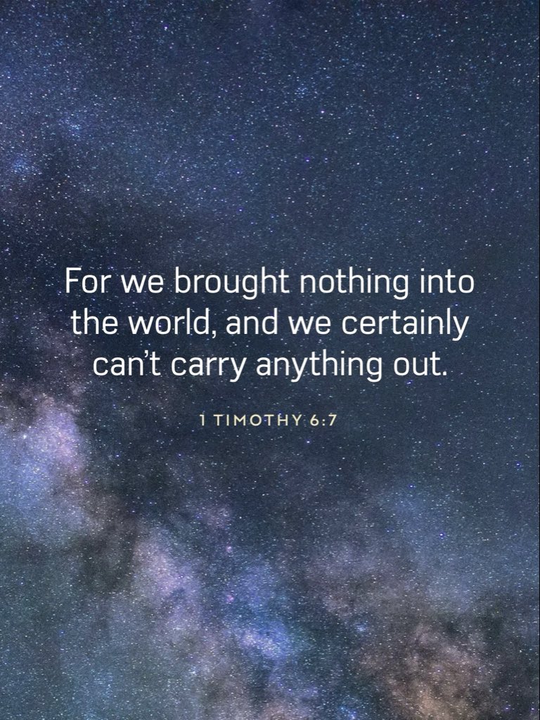 🎀🧸 tweet media