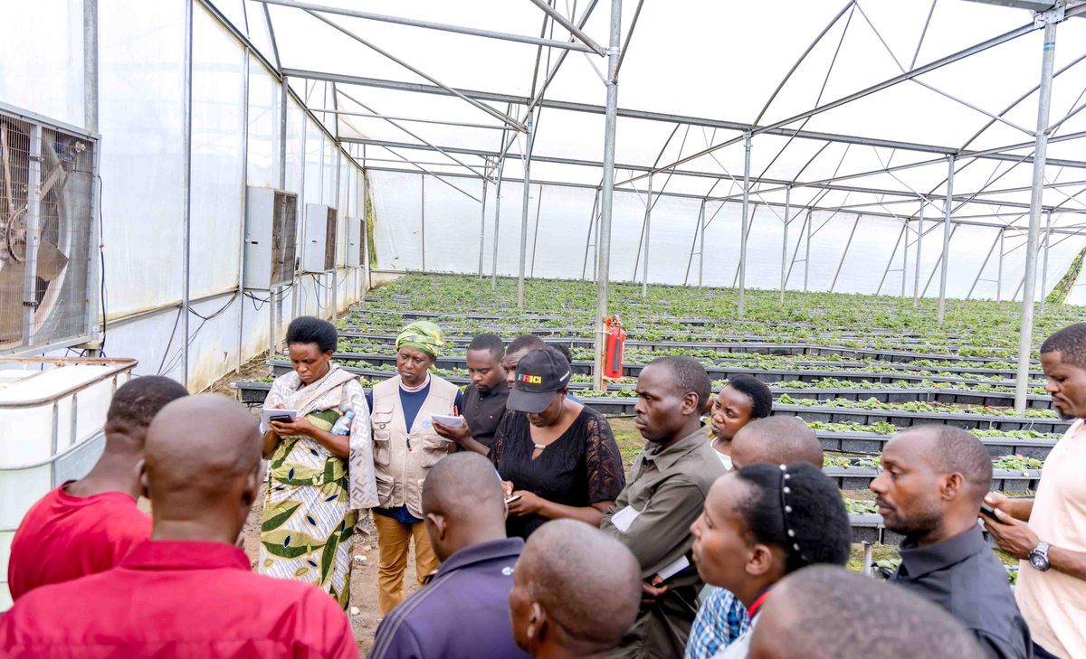 FAO in Rwanda tweet media