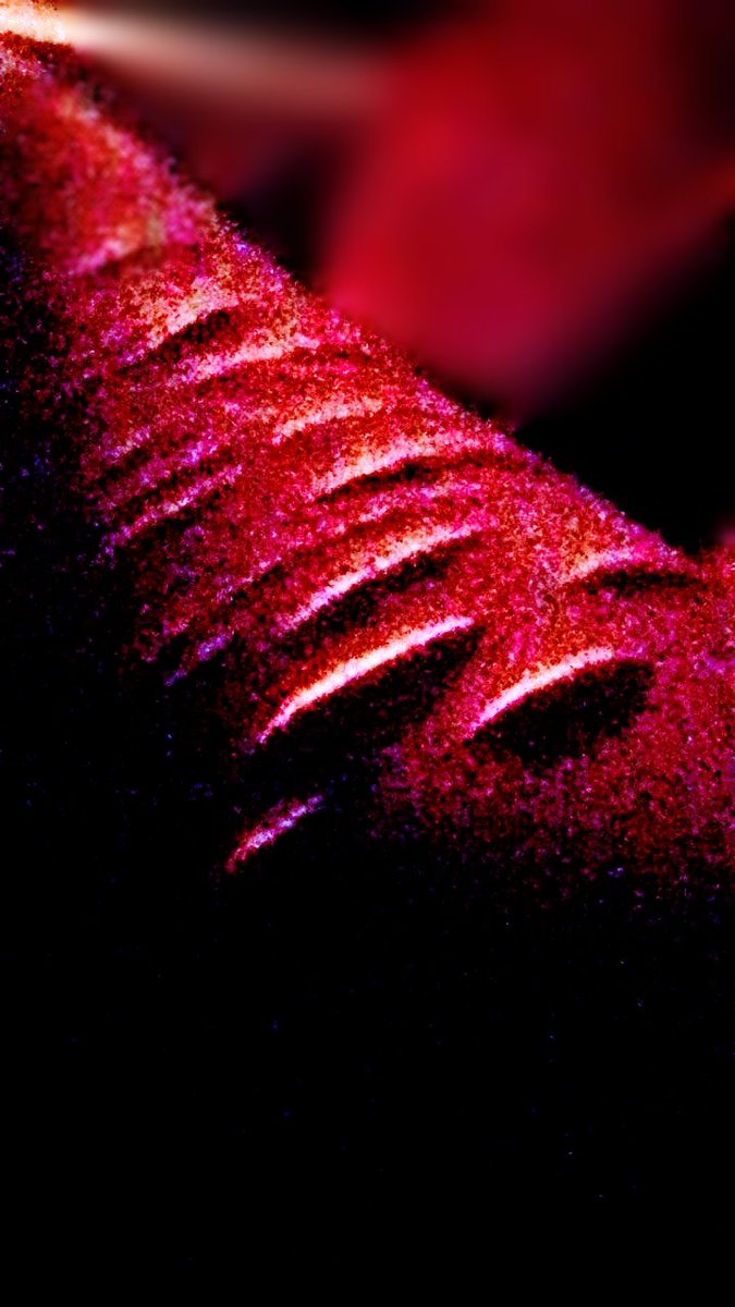 real nazi tweet media