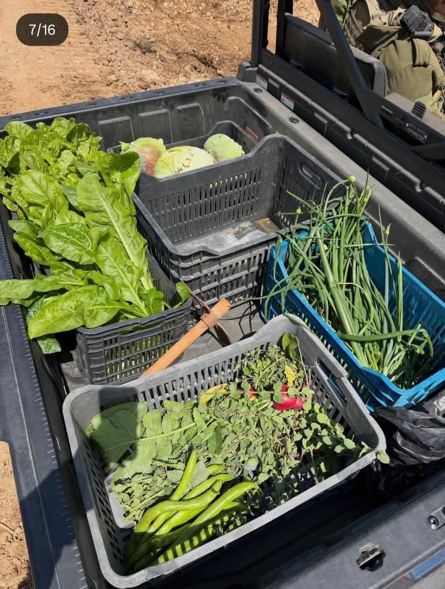 Ryan Rozbiani tweet media