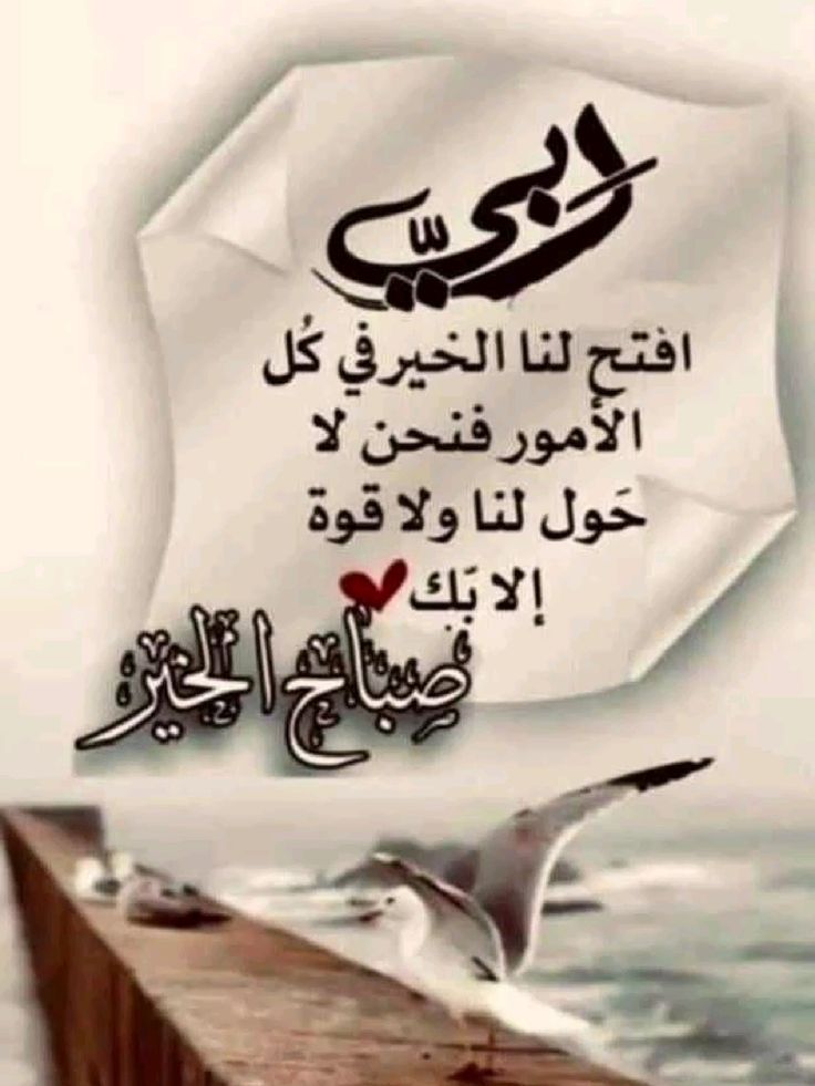 ibrigfl2's tweet photo. https://t.co/TAgTpfP7Qq