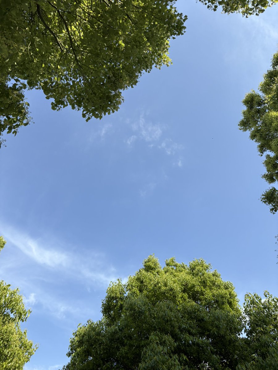 ohmoriyohei's tweet image. #cancerjourney