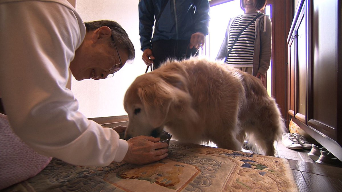 めざましテレビ tweet media