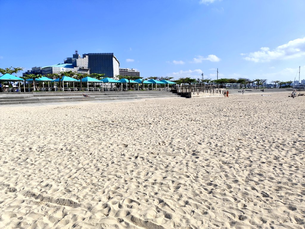 しもん tweet media