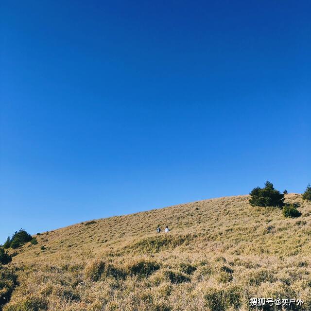 Synapsa Lab tweet media