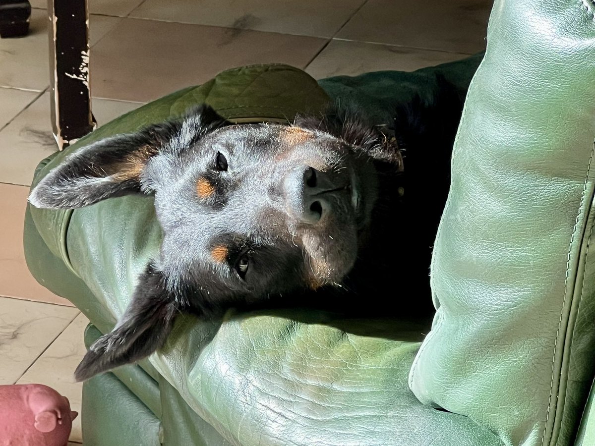 Frédéric Manfrin tweet media