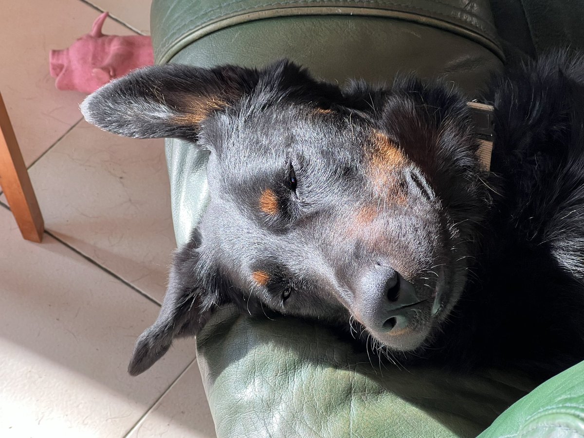 Frédéric Manfrin tweet media